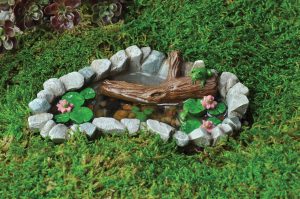 Bassin miniature avec grenouilles