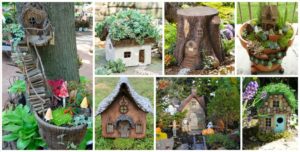 minis jardins