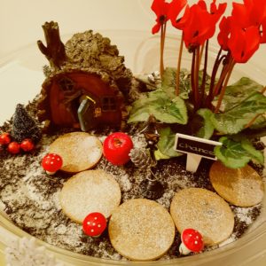 Diy mini jardin